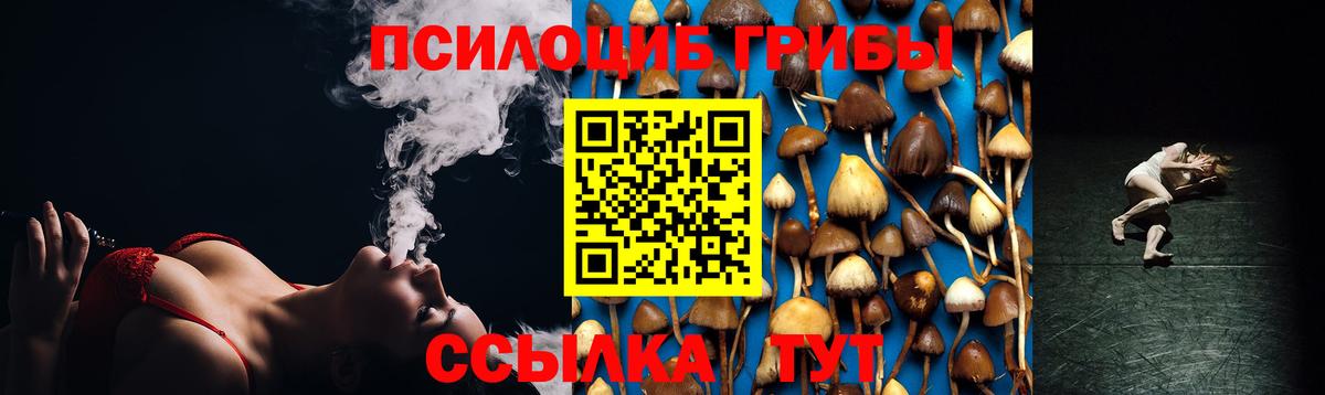Галлюциногенные грибы мухоморы Новочеркасск
