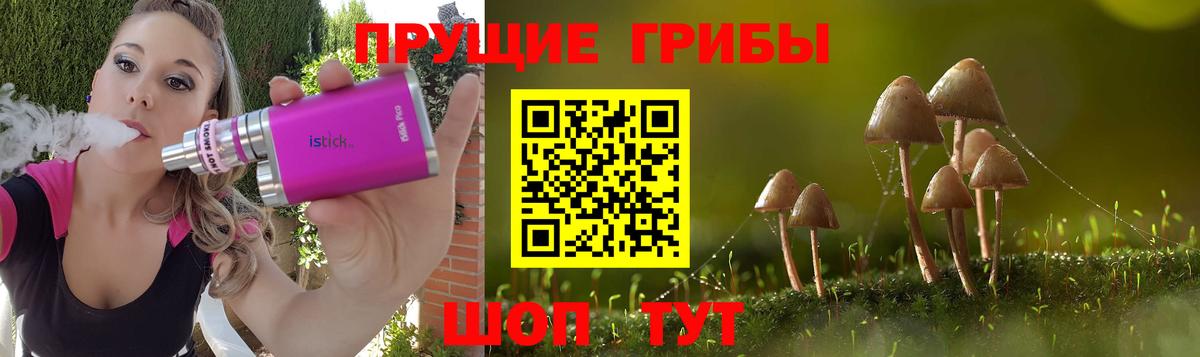 Галлюциногенные грибы мицелий  Галлюциногенные грибы MAGIC MUSHROOMS  Новочеркасск  закладка  Вход с VPN 