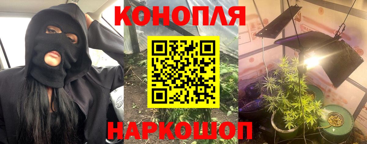 Каннабис сатива  Марихуана марихуана  Конопля тримм  Вход с VPN  Новочеркасск 